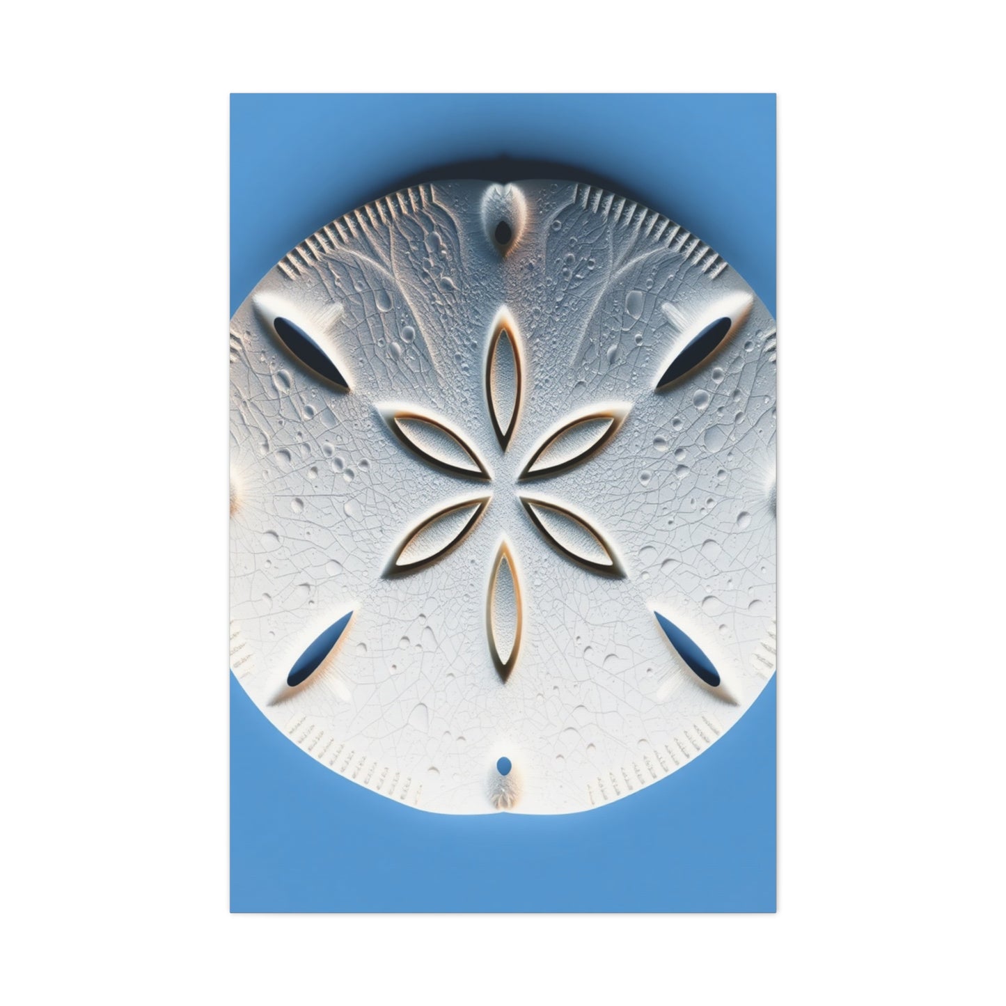 Sand Dollar Art Supreme Canvas Wall Art & Canvas Print