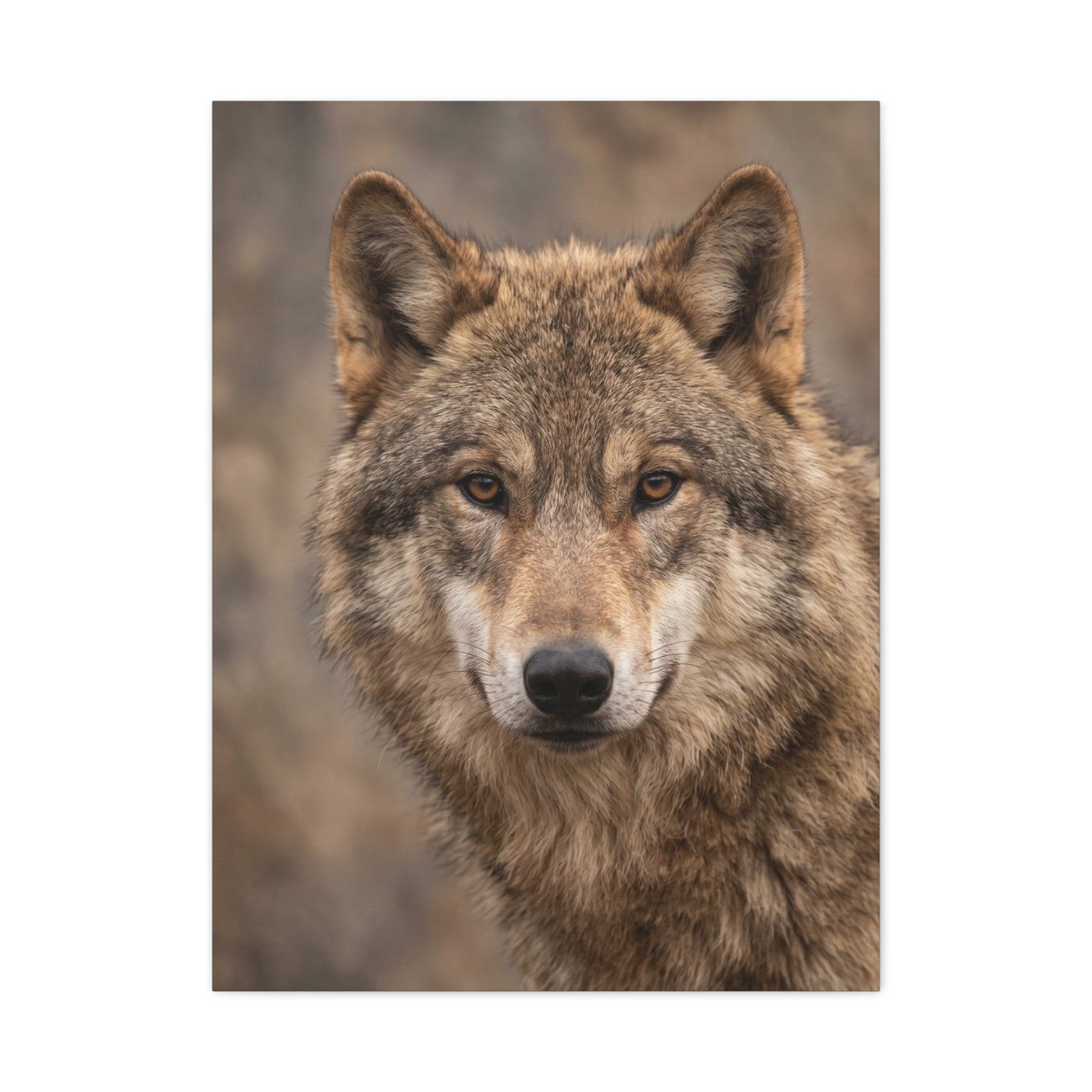 Natural Gray Wolf Close Portrait Wall Art & Canvas Print