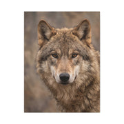 Natural Gray Wolf Close Portrait Wall Art & Canvas Print
