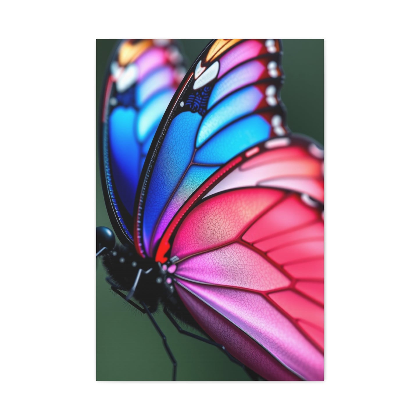 Divine Alae Canvas Wall Art & Canvas Print