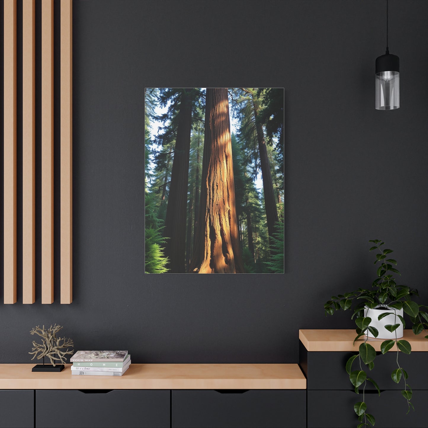 Supreme Redwood Tree Art Beautiful Collection Wall Art & Canvas Print