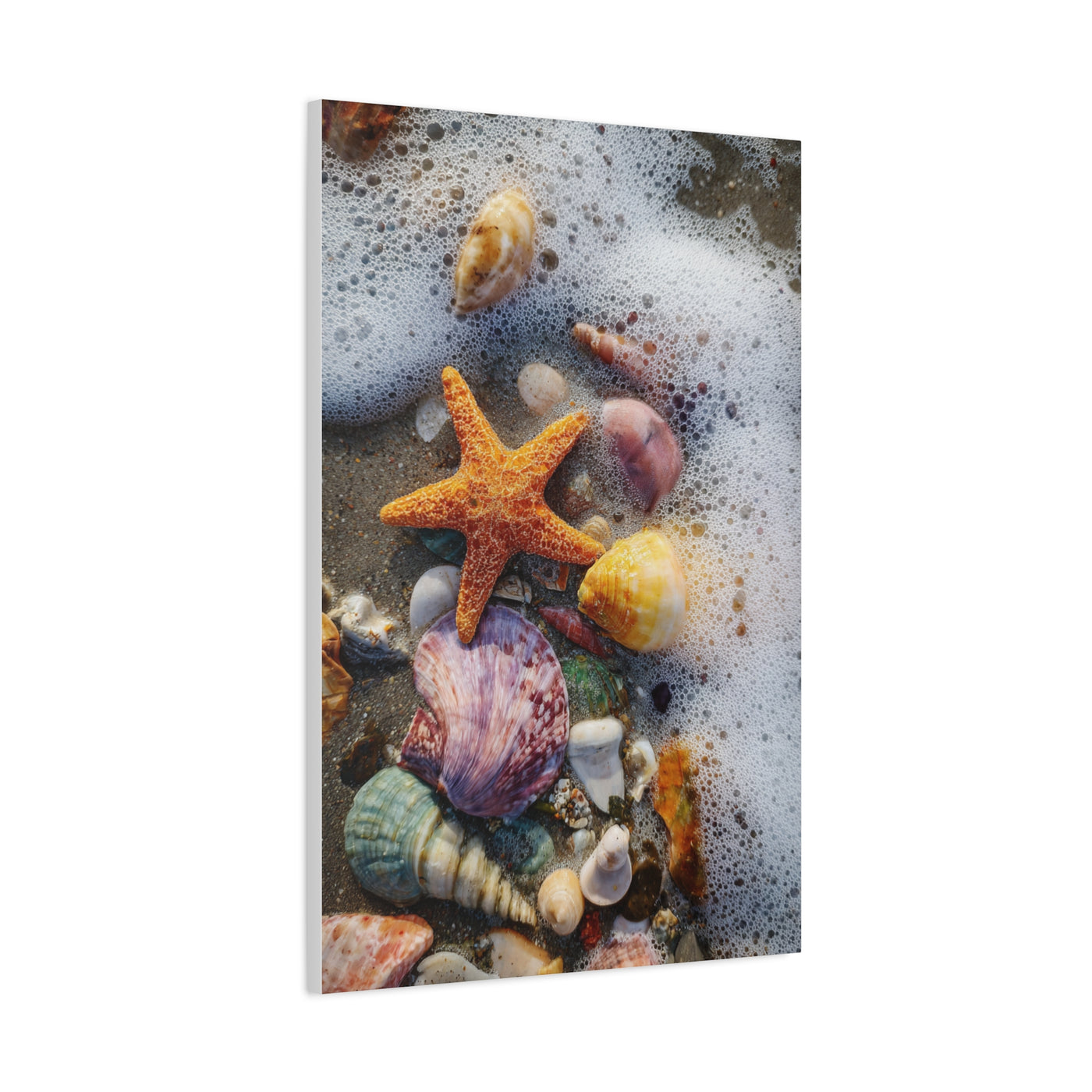 Seashells and Starfish on Ocean Shore Wall Art & Canvas Print