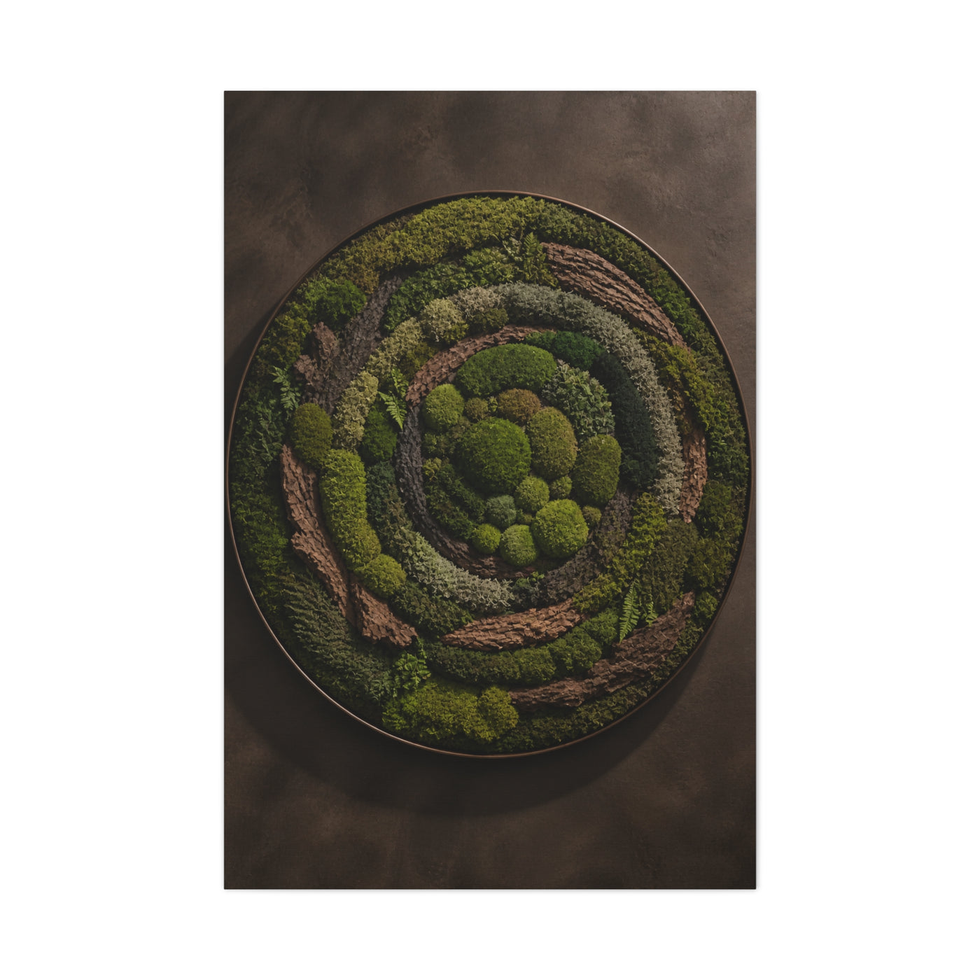 Circular Preserved Moss Relief Wall Art & Canvas Print