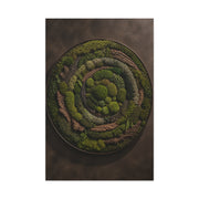 Circular Preserved Moss Relief Wall Art & Canvas Print