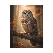 Barred Owl Autumn Forest Portrait Wall Art & Canvas Print