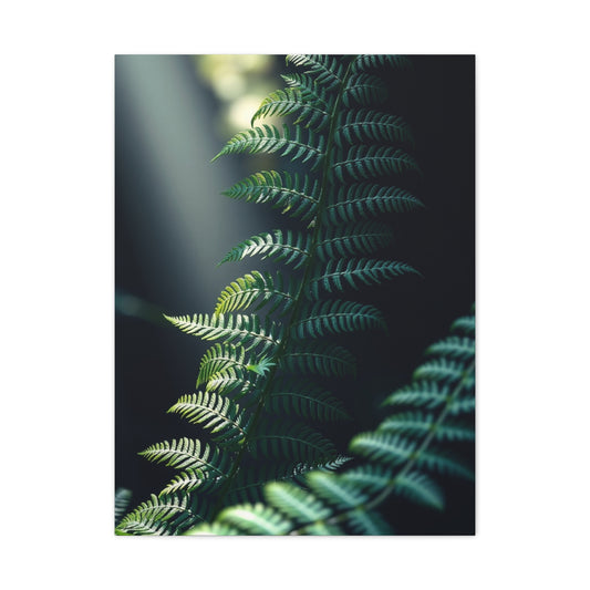 Vision Fern Art Art Wall Art & Canvas Print