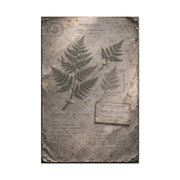 Antique Fern Herbarium Archive Wall Art & Canvas Print