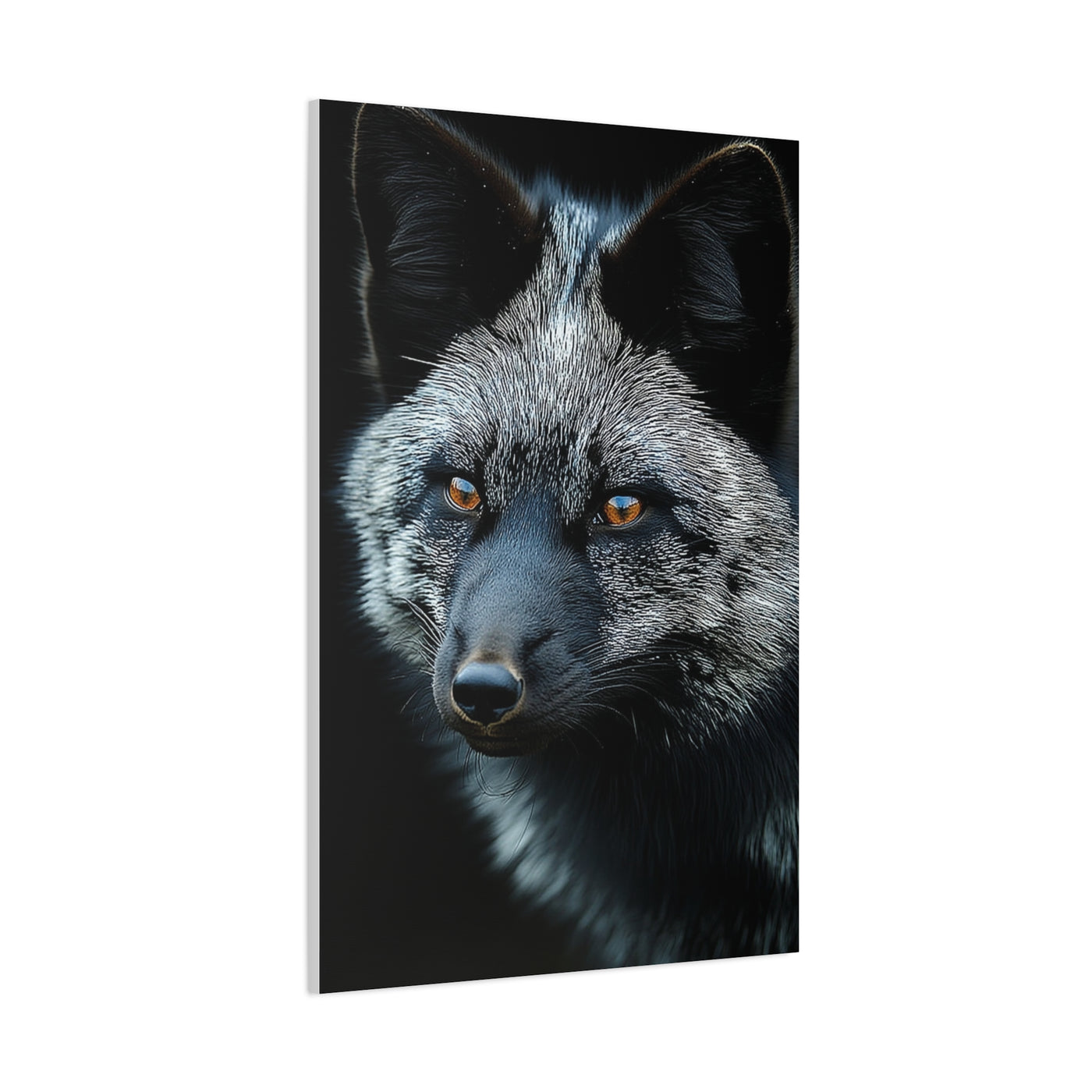 Silver Fox Velvet Portrait Wall Art & Canvas Print