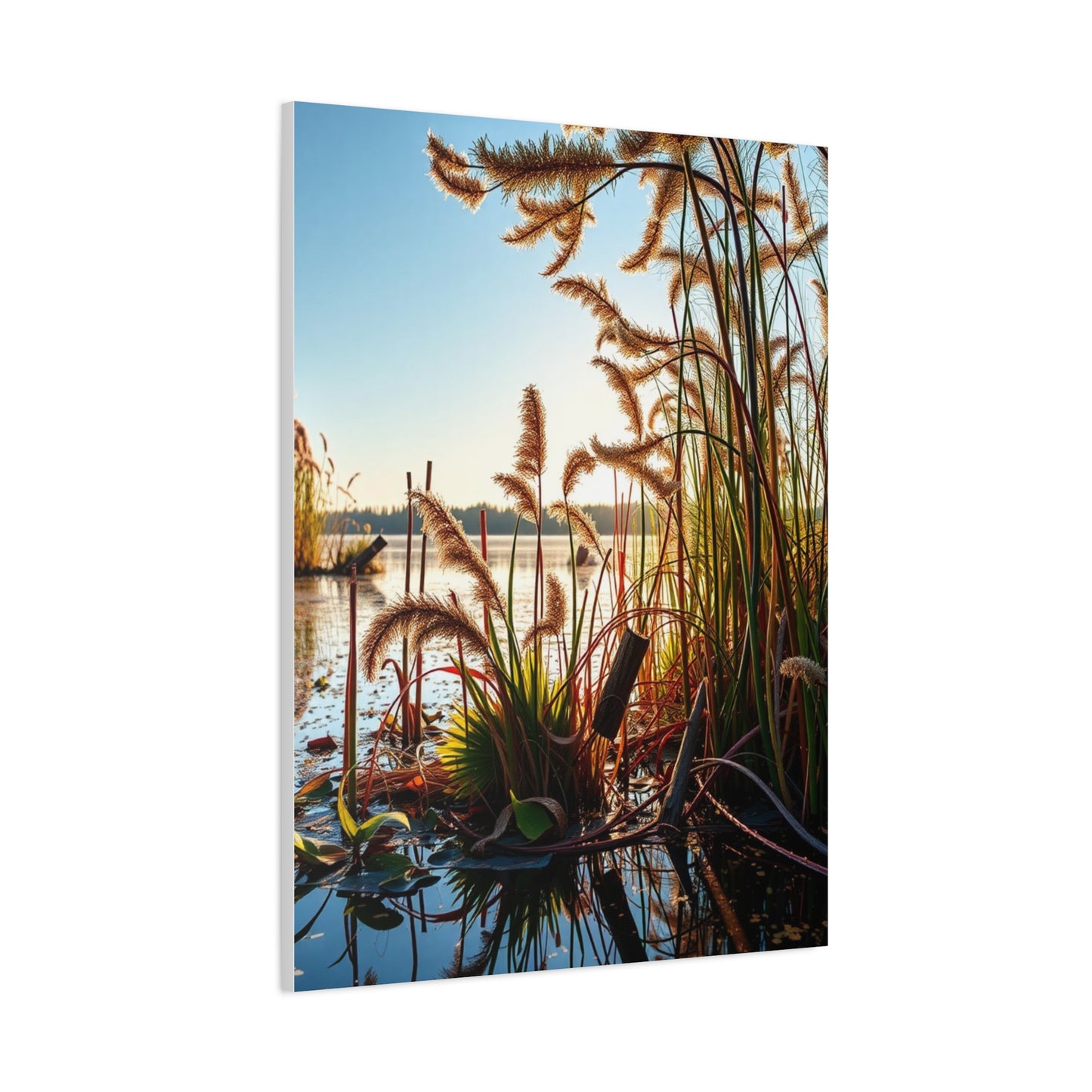 Vision Marsh & Swamp Art Art Wall Art & Canvas Print