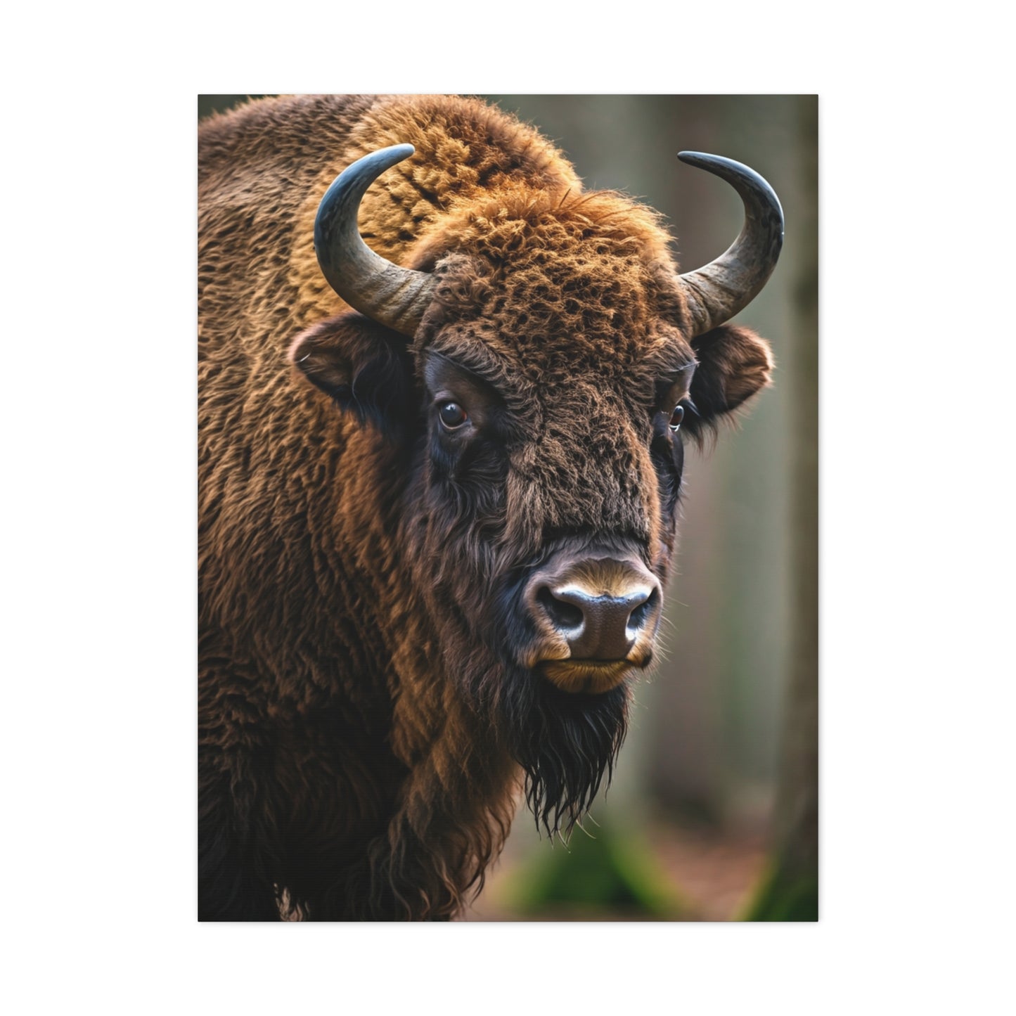 Wood Bison Close-Up with Soft Forest Backdrop Wall Art & Canvas Print