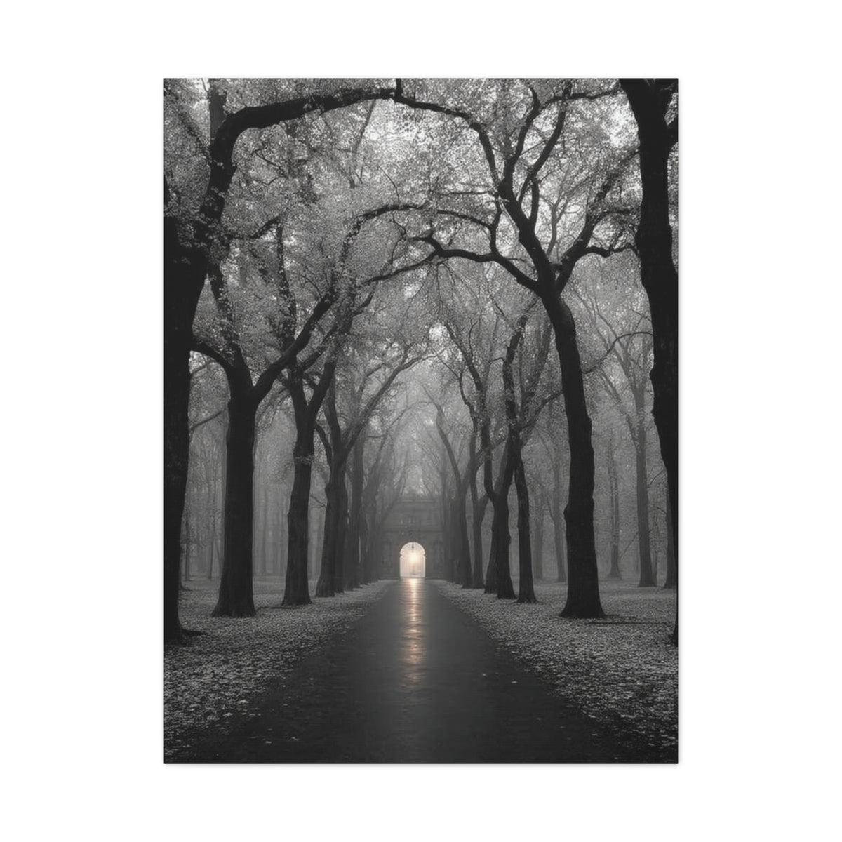 Misty Tree Avenue Monochrome Wall Art & Canvas Print