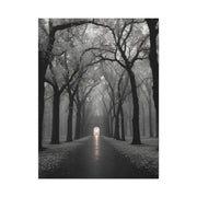 Misty Tree Avenue Monochrome Wall Art & Canvas Print