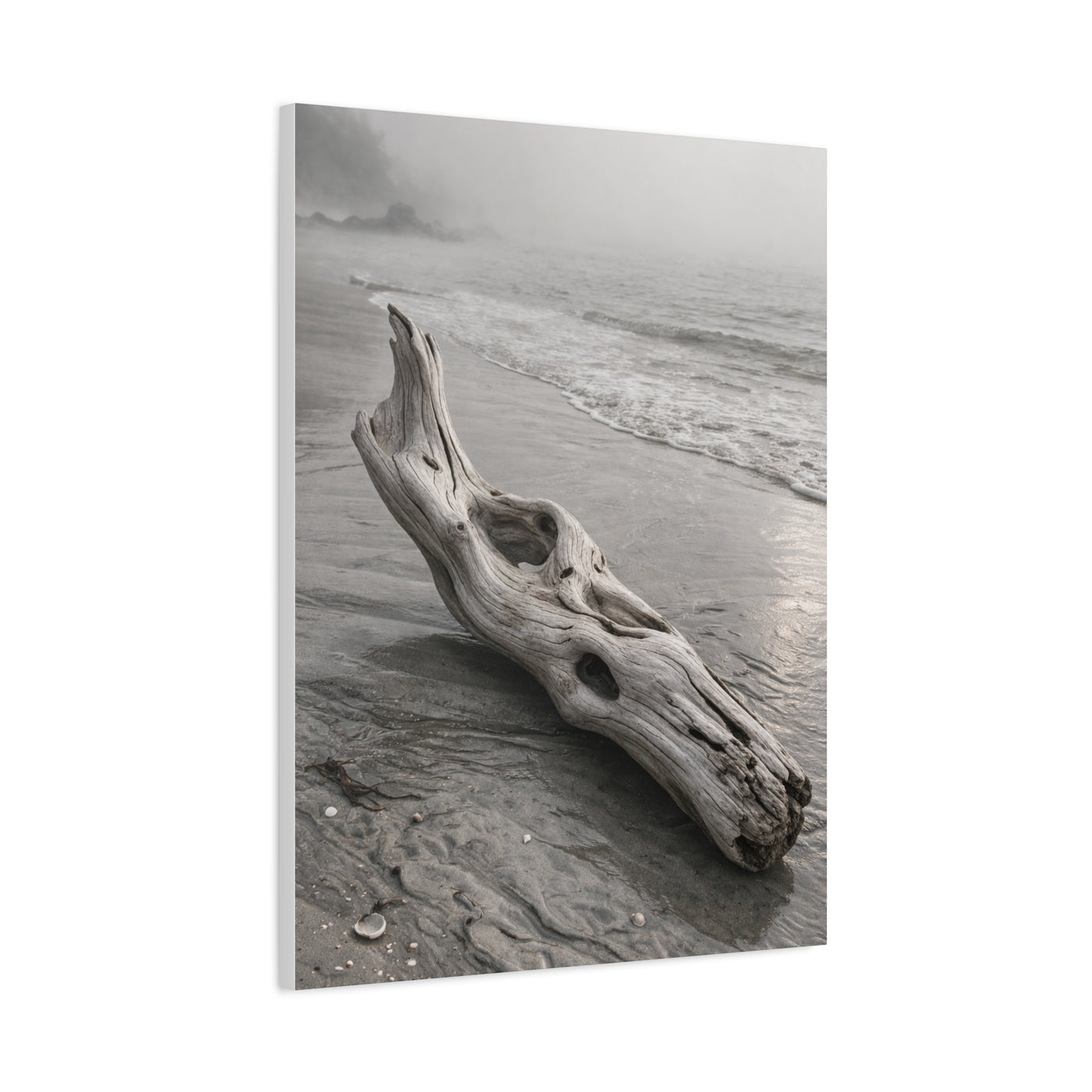 Driftwood Coastal Minimal Wall Art & Canvas Print