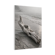 Driftwood Coastal Minimal Wall Art & Canvas Print