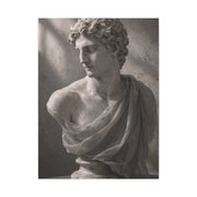 Classical Marble Bust Draped Wall Art & Canvas Print