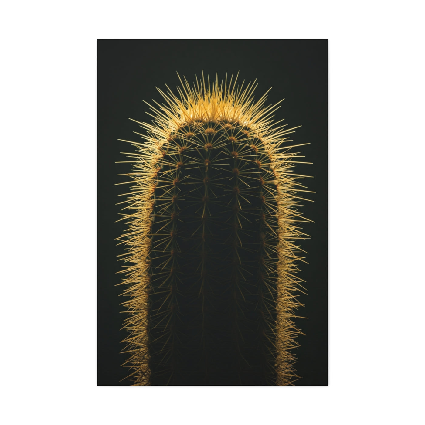Desert Sentinel Column Cactus Wall Art & Canvas Prints