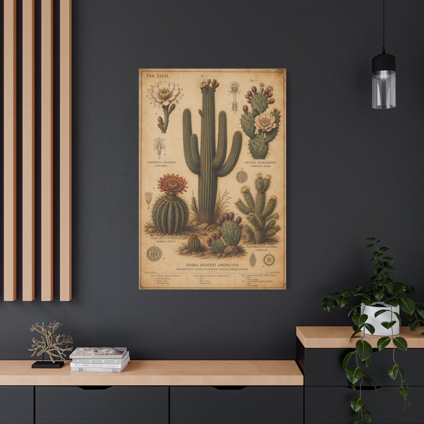 Vintage Desert Botanical Study Southwest Wall Art & Canvas Print