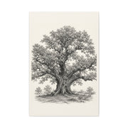 Detailed Engraved Oak Study Trees Wall Art & Canvas Print