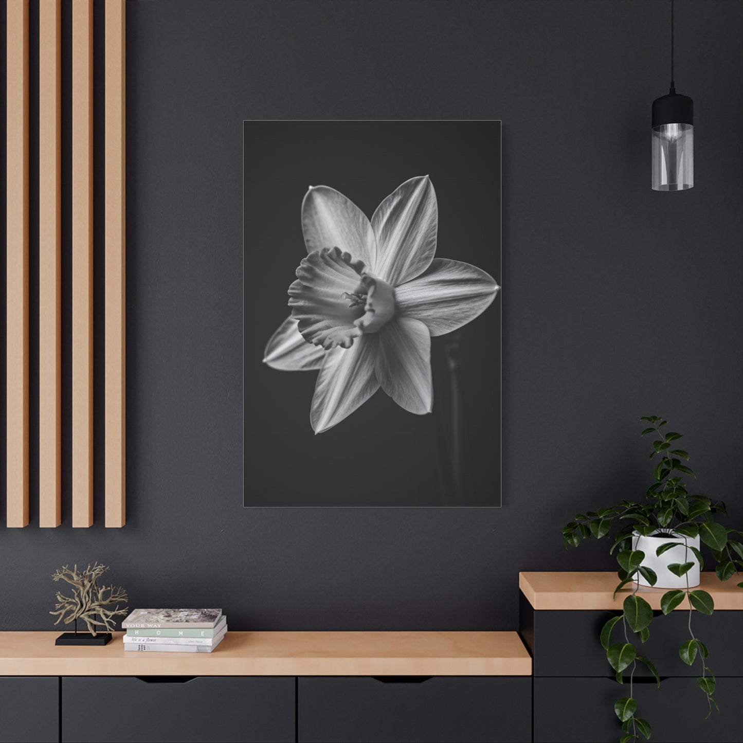 Monochrome Daffodil Grace Wall Art & Canvas Prints
