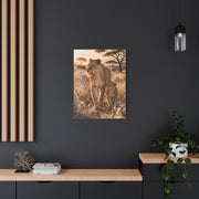 Lioness and Cub Golden Walk Wall Art & Canvas Print