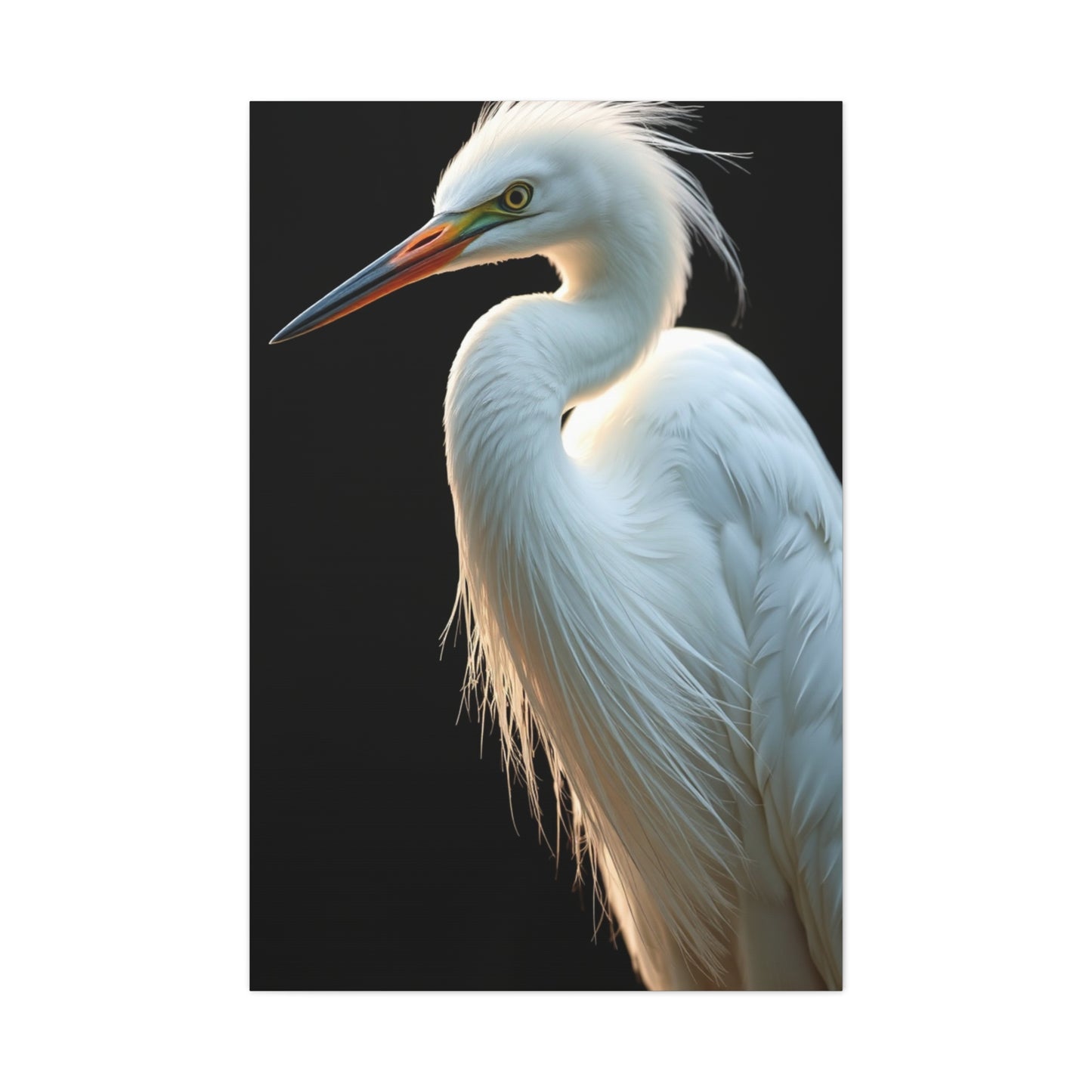 Supreme Egret Art Beautiful Collection Wall Art & Canvas Print
