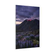 Volcanic Twilight & Wild Lupines Wall Art & Canvas Print