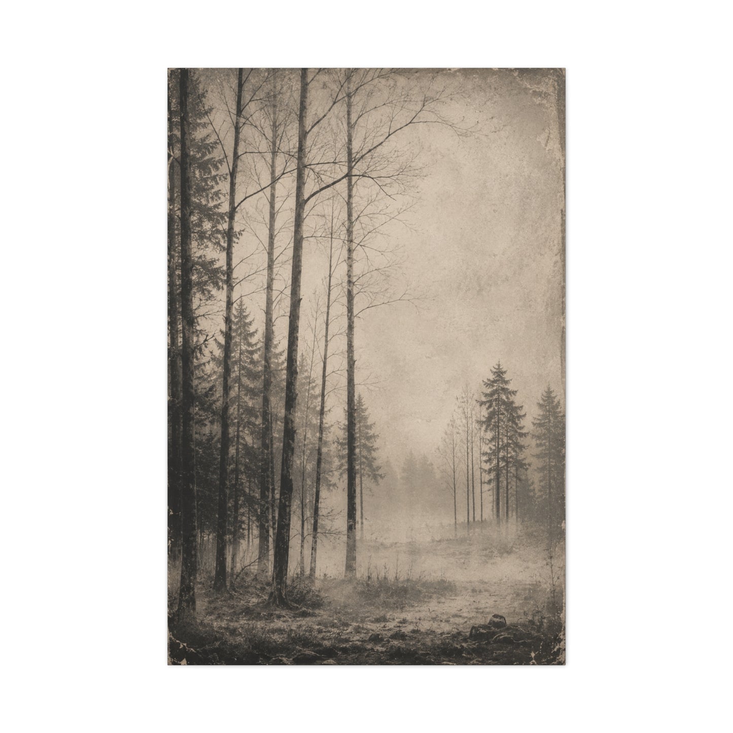 Vintage Fog Forest Monochrome Trees Wall Art & Canvas Print
