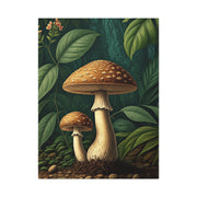 Forest Mushroom Illustration Wall Art & Canvas Prints