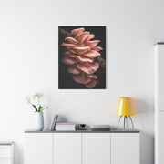 Blush Pink Oyster Mushroom Macro Study Wall Art & Canvas Print