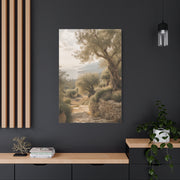 Olive Grove Coastal Serenity Wall Art & Canvas Print