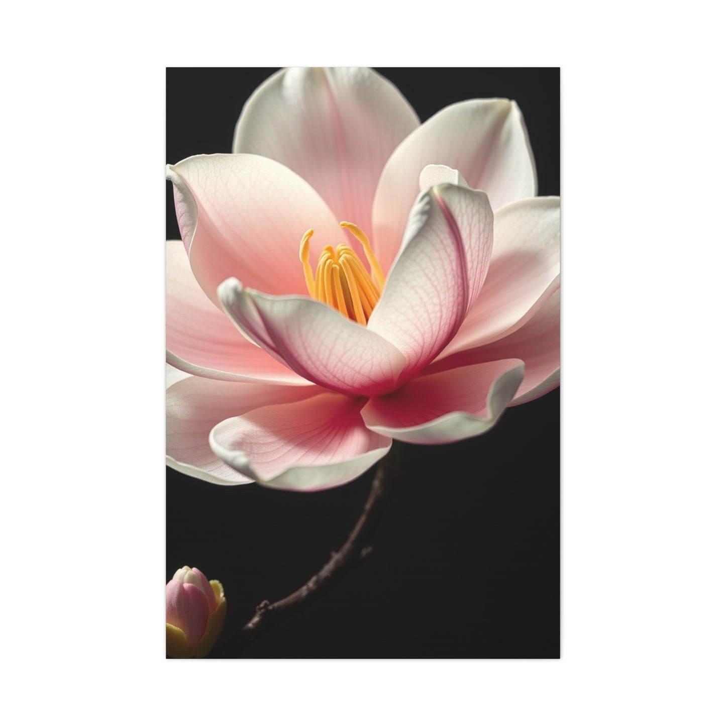 Magnolia Art Supreme Canvas Wall Art & Canvas Print