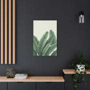 Tropical Banana Leaves Minimal Botanical Wall Art & Canvas Prints