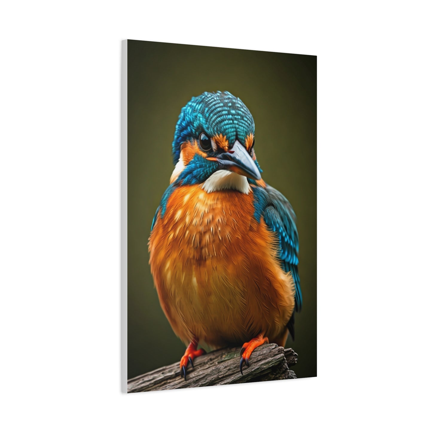 Tender Kingfisher Moment Wall Art & Canvas Prints