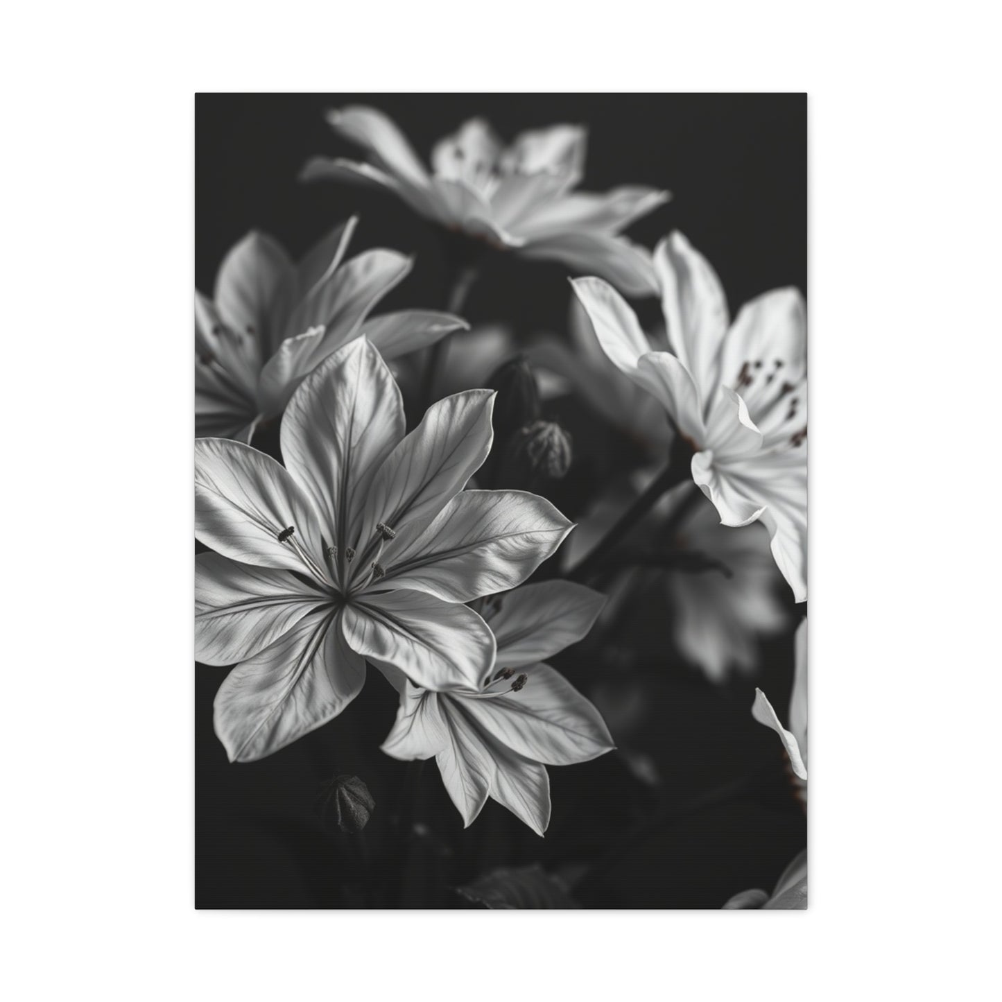 Ebony Whiteness Petal Tableau Wall Art & Canvas Print