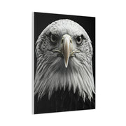 Bald Eagle Power Portrait Wall Art & Canvas Prints