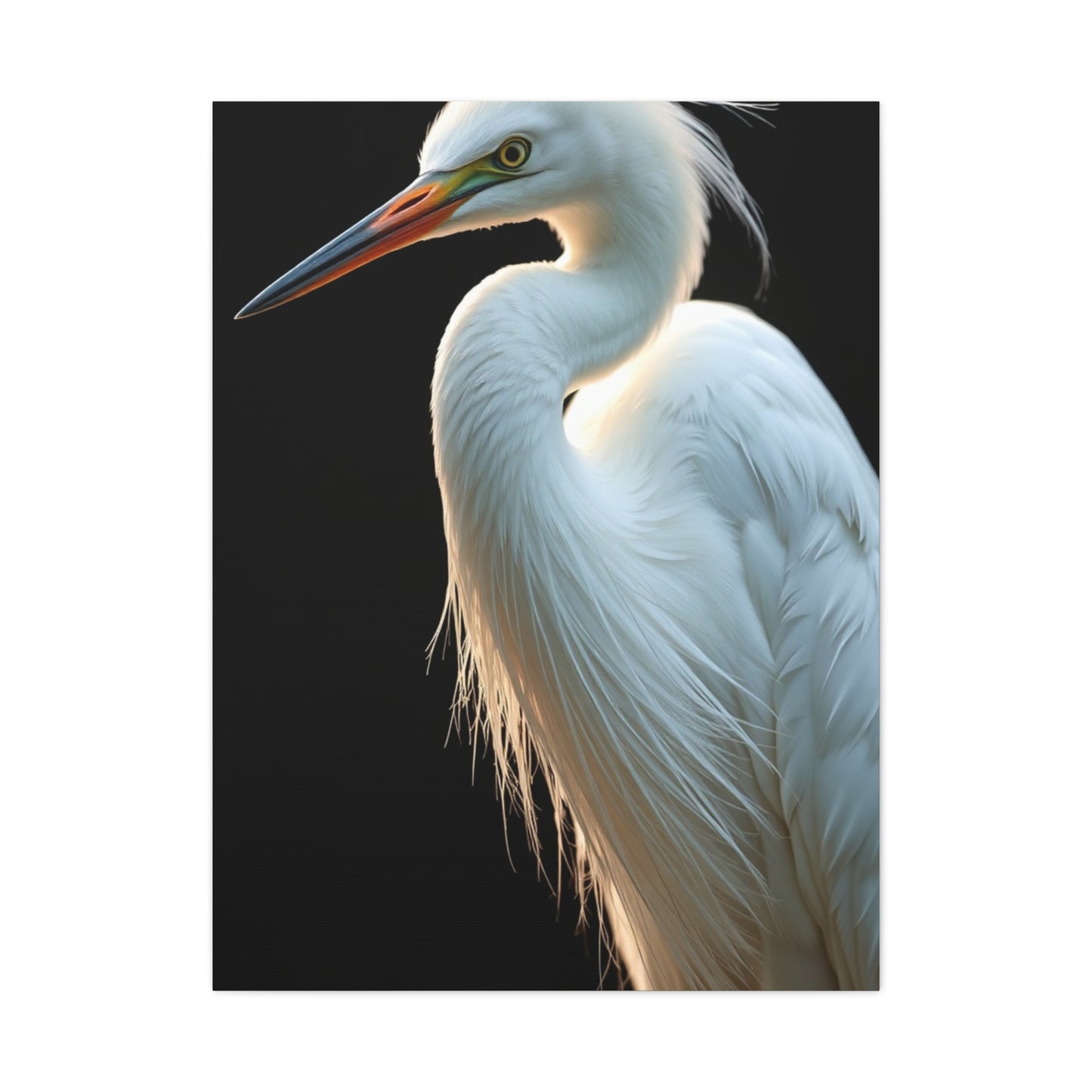 Supreme Egret Art Beautiful Collection Wall Art & Canvas Print