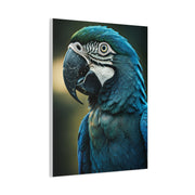 Regal Blue Macaw Portrait Wall Art & Canvas Prints
