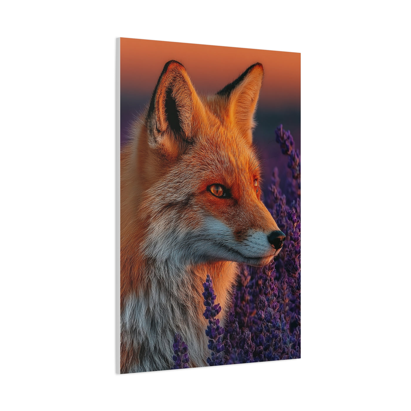 Lavender Field Fox Sunrise Wall Art & Canvas Print