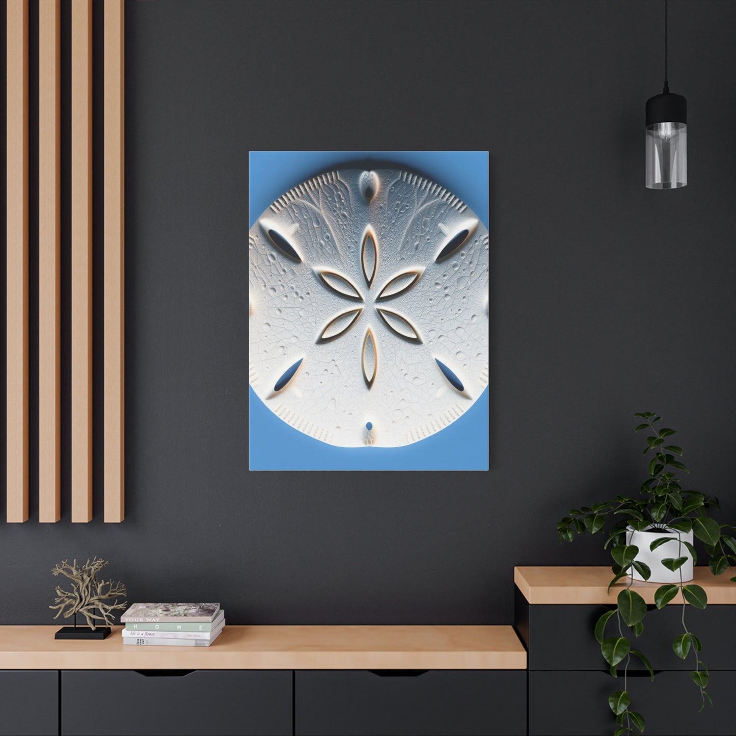 Sand Dollar Art Supreme Canvas Wall Art & Canvas Print