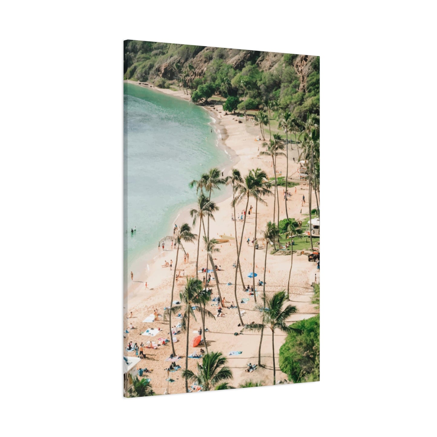 Hawai Wall Art & Canvas Prints