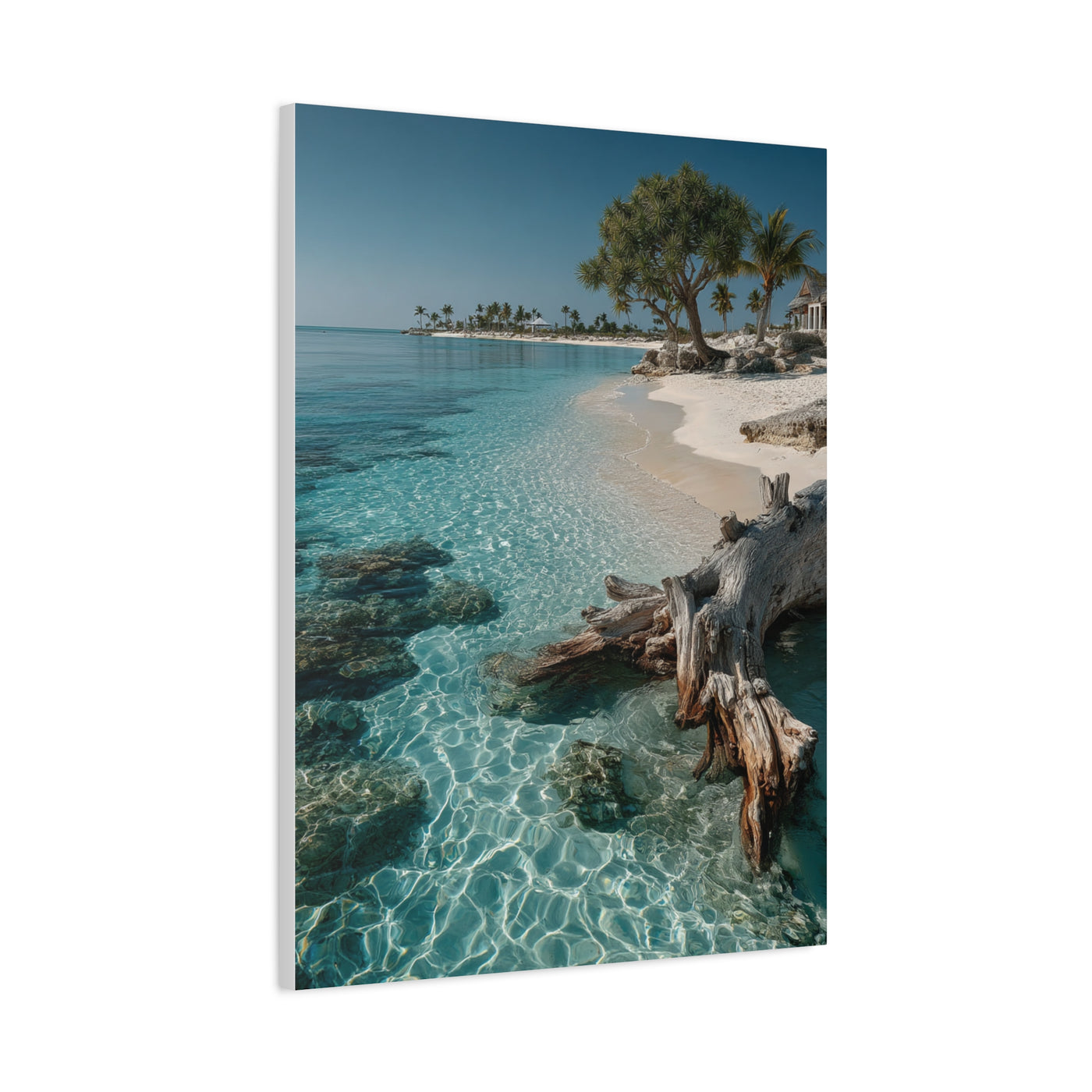 Tropical Driftwood Cove Wall Art & Canvas Print