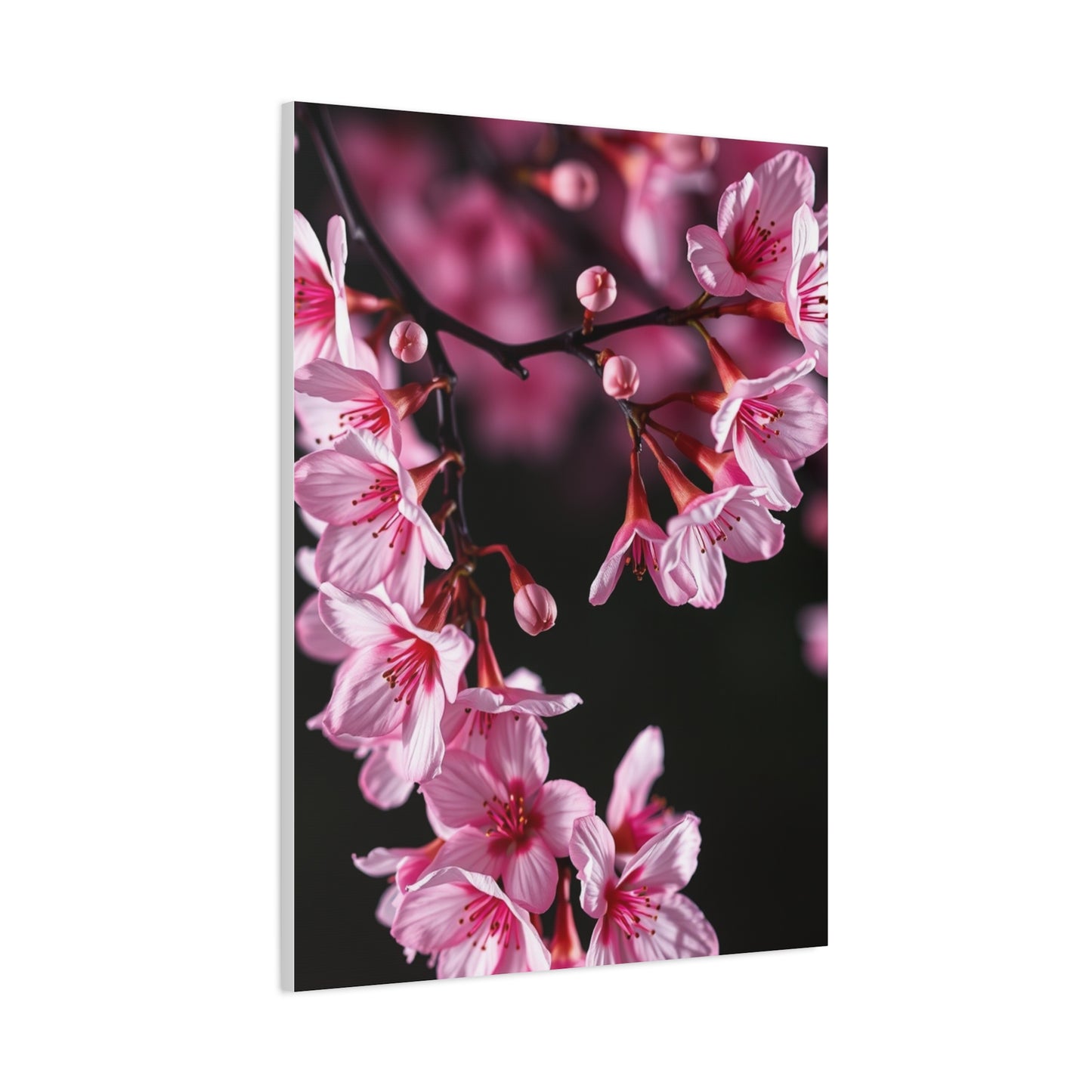 Supreme Cherry Blossom Wall Art Beautiful Collection Wall Art & Canvas Print