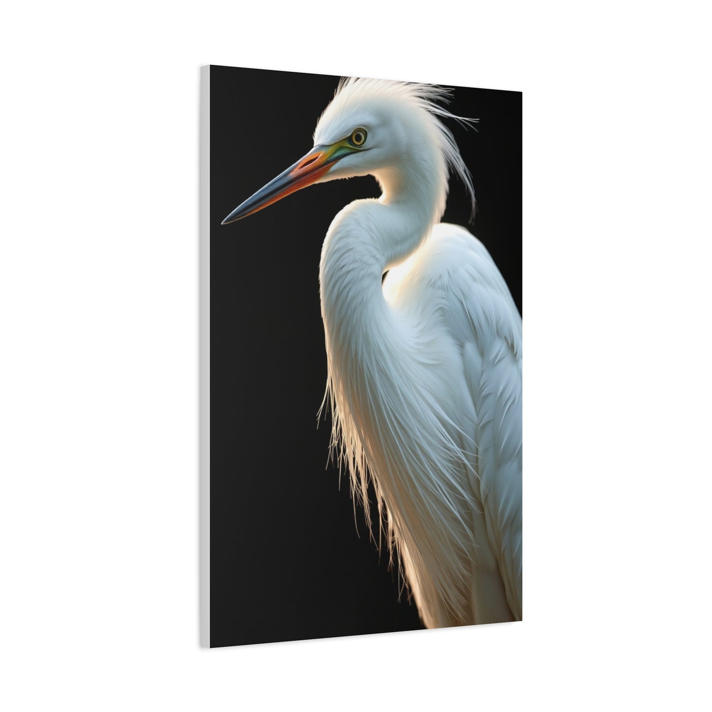 Supreme Egret Art Beautiful Collection Wall Art & Canvas Print