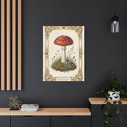 Victorian Botanical Mycology Plate Wall Art & Canvas Print