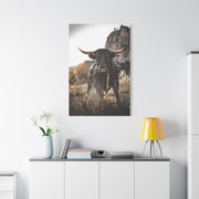 Mountain Cliff Bull Portrait Wall Art & Canvas Print