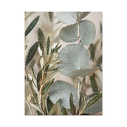 Botanical Eucalyptus Close-Up Wall Art & Canvas Print