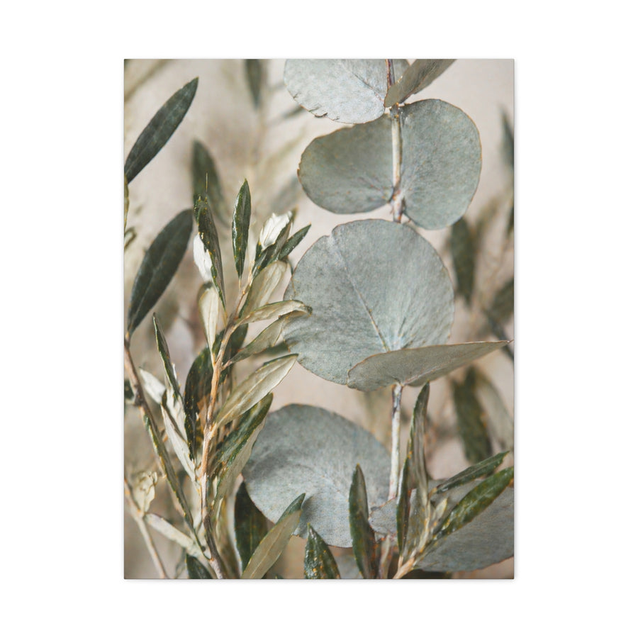 Botanical Eucalyptus Close-Up Wall Art & Canvas Print
