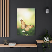 Golden Meadow Butterfly Wall Art & Canvas Prints