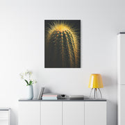Desert Stone Barrel Cactus Wall Art & Canvas Prints