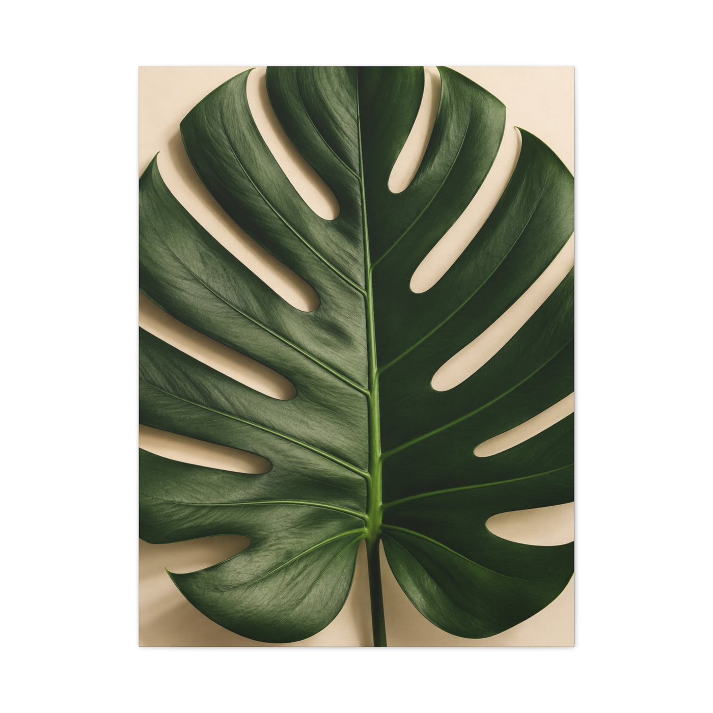 Minimal Monstera Leaf Botanical Tropical Wall Art & Canvas Print